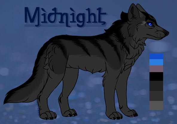 Midnight ref